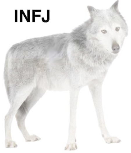 INFJ-wolf