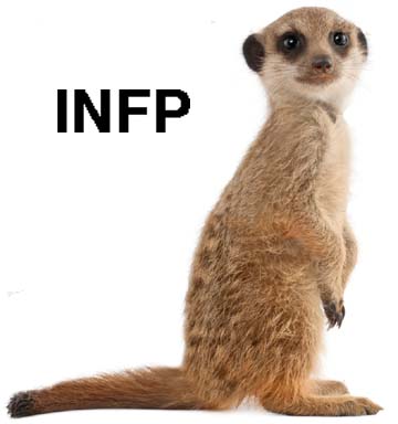 INFP-Meerkat