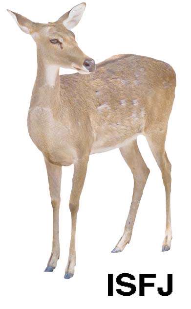 ISFJ-Deer