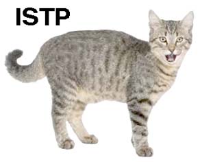 ISTP-Housecat